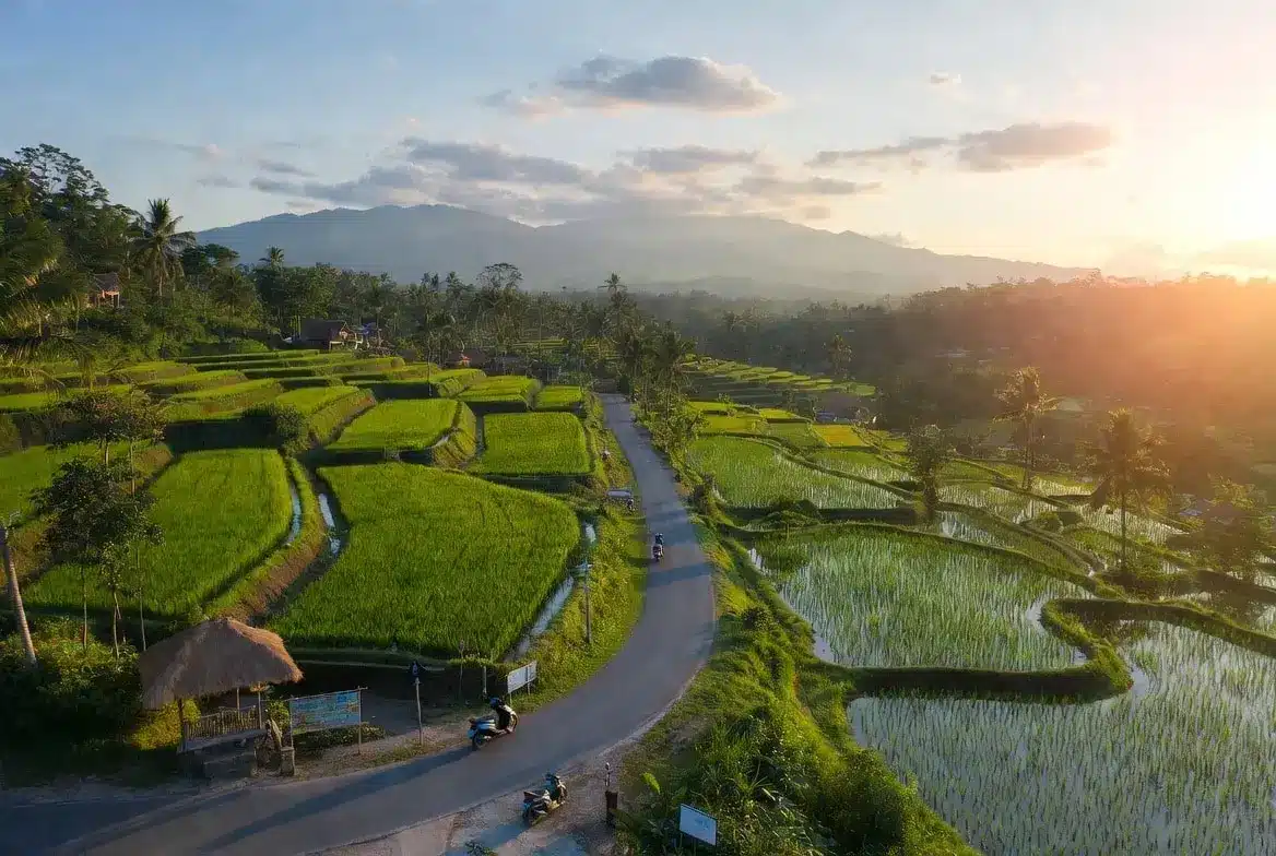 Renting a Scooter in Bali for a Long Stay Long-term scooter rental in Bali